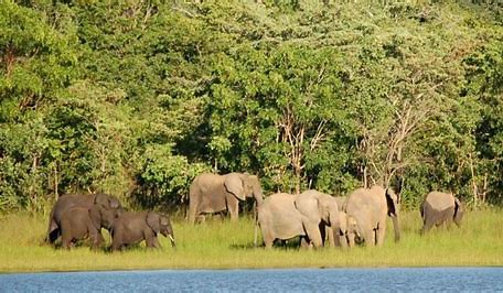Kasungu National Park