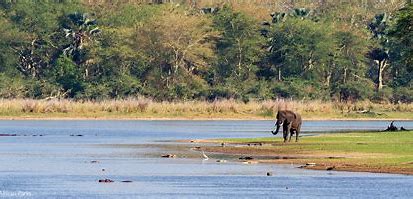 LIWONDE NATIONAL PARK